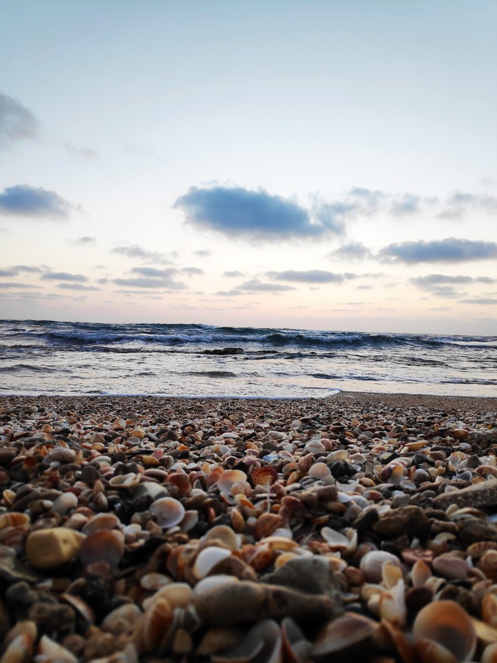 sea