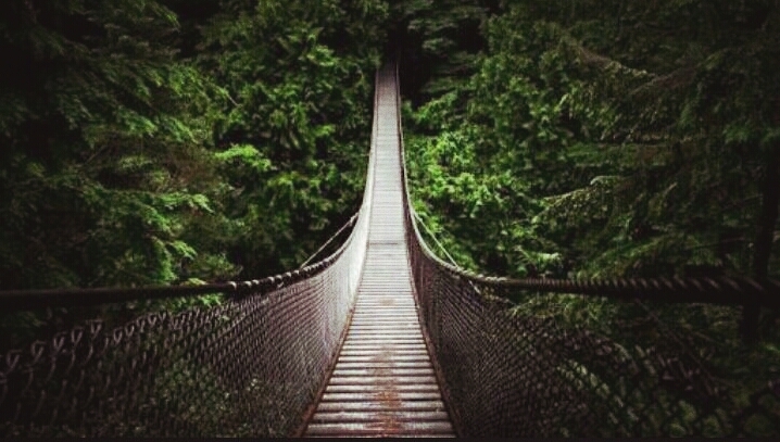 bridge