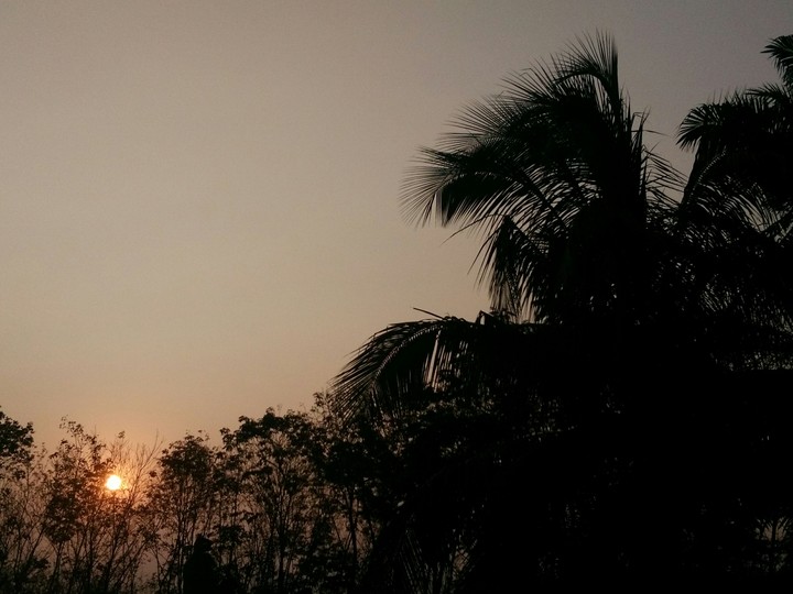 sunset