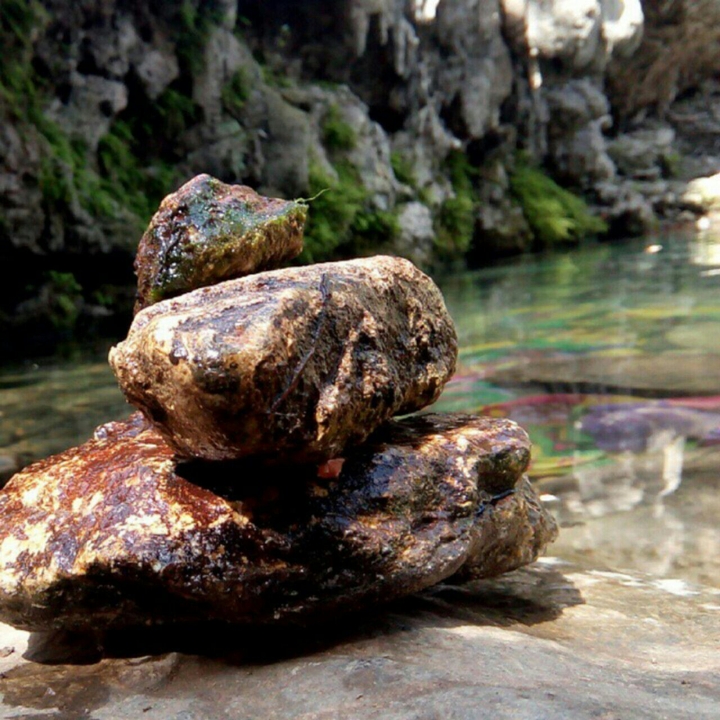 shaped nature
