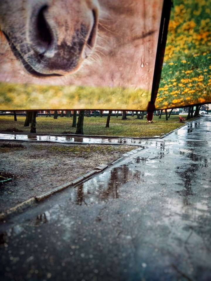 rain with umbrella