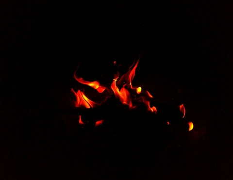 phenomenon, halloween Hintergrundbilder