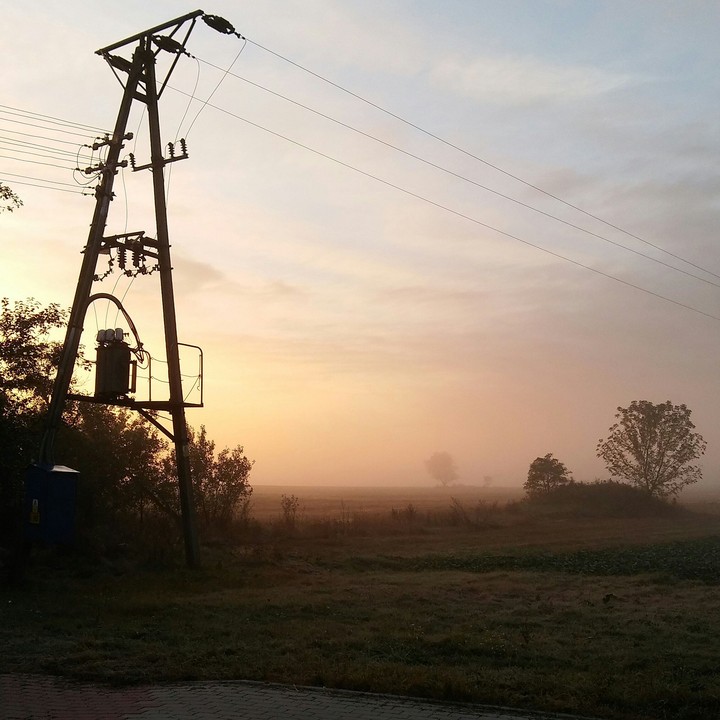 Foggy autumn
