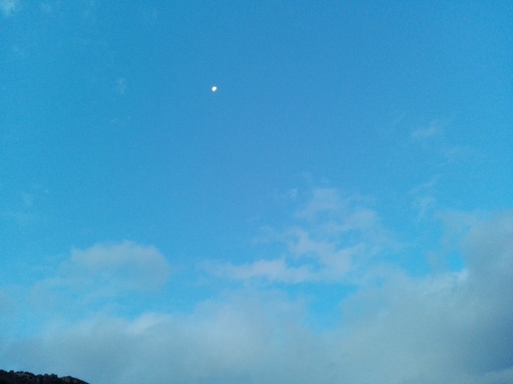 The moon