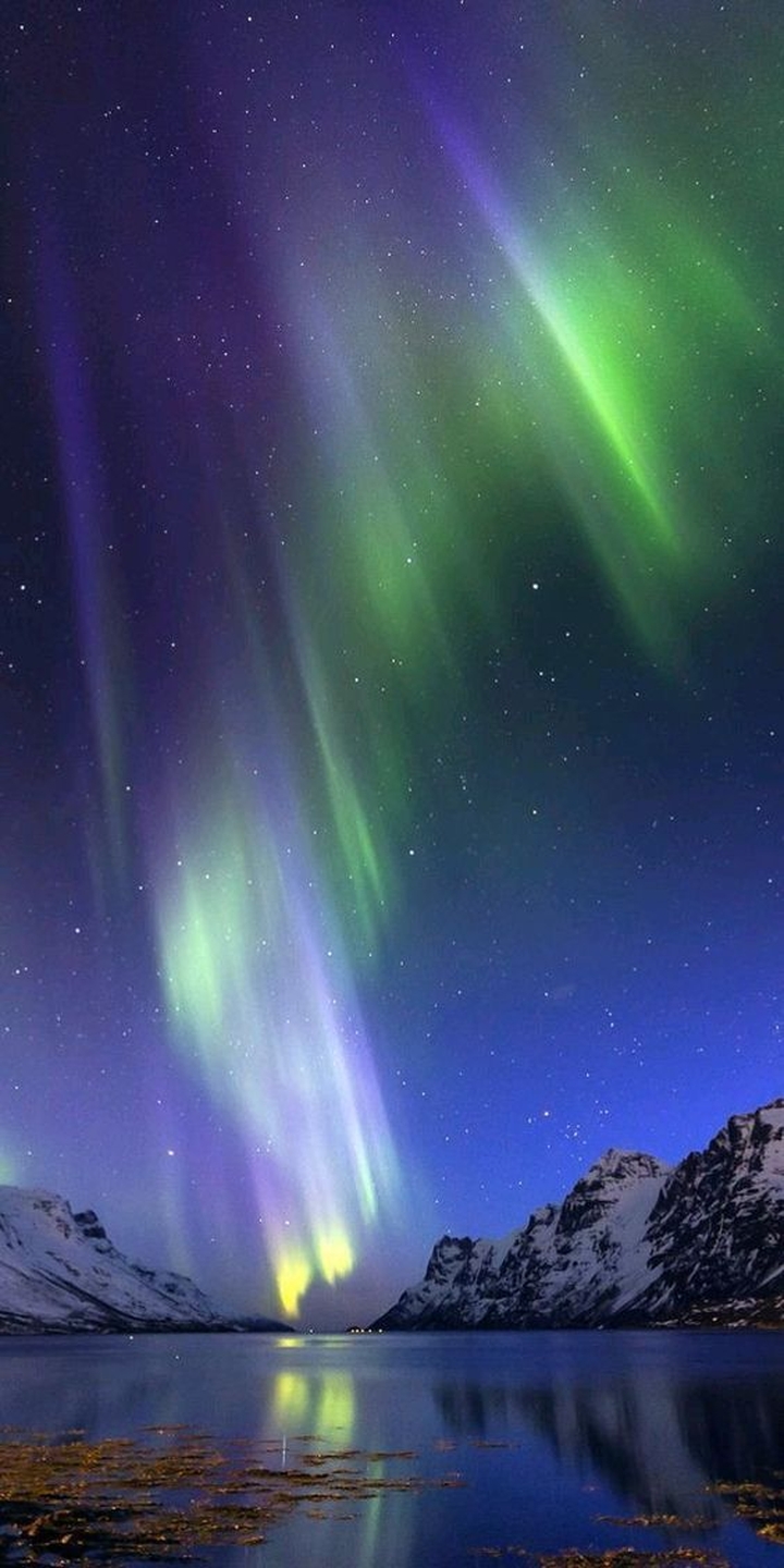 star, arctic háttérképek