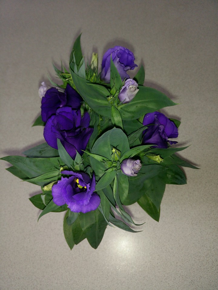 Beautiful flowers