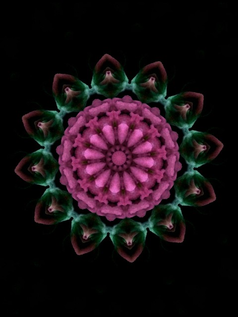 Illusion