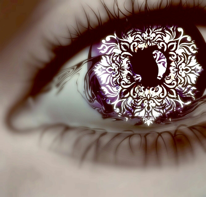 Eye Evolved
