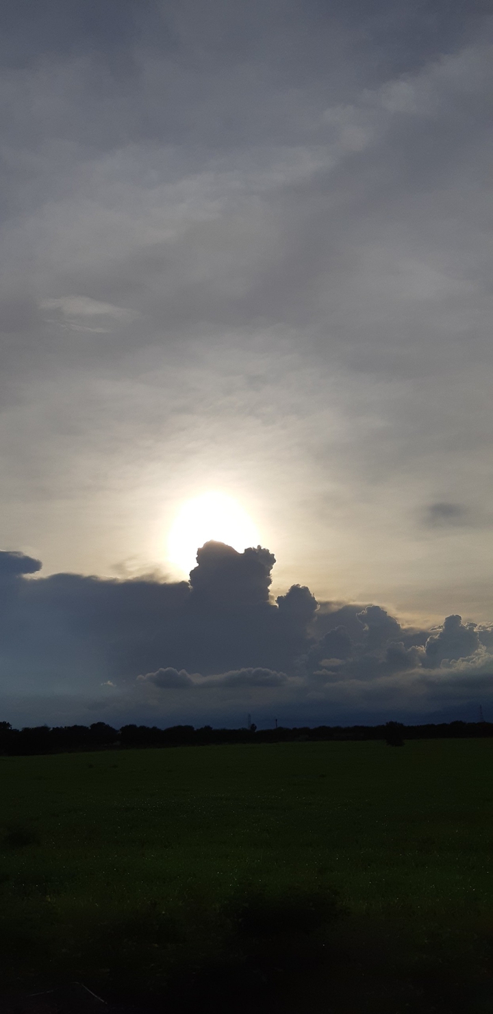 sun light