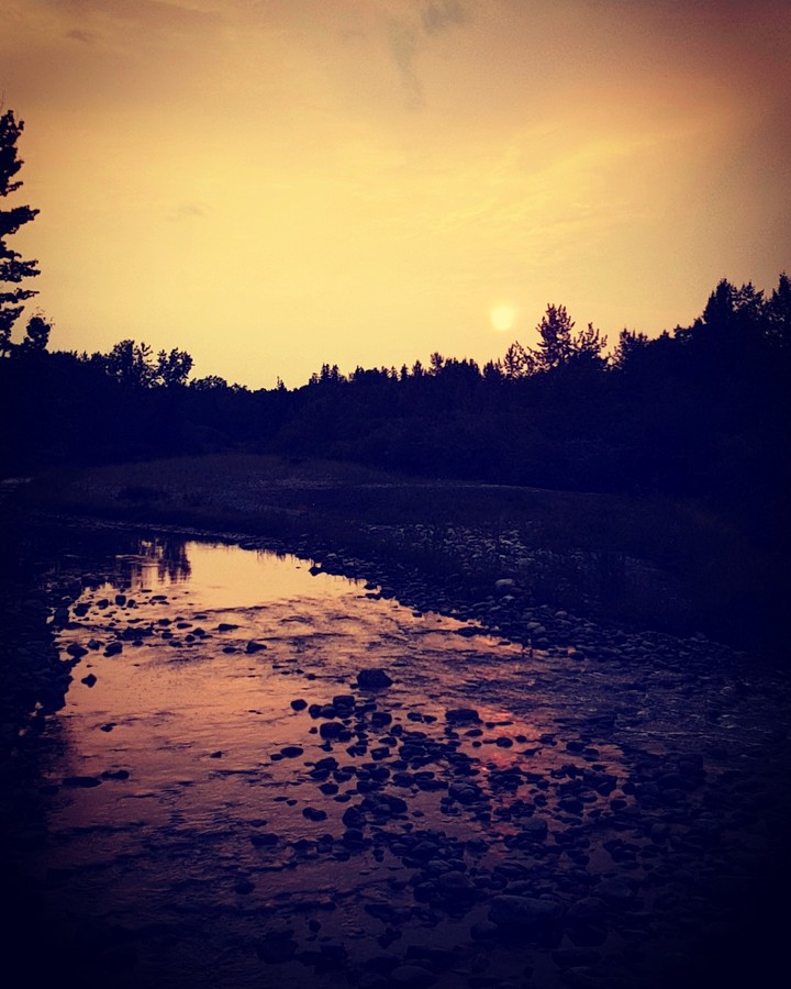 Chasing Summer