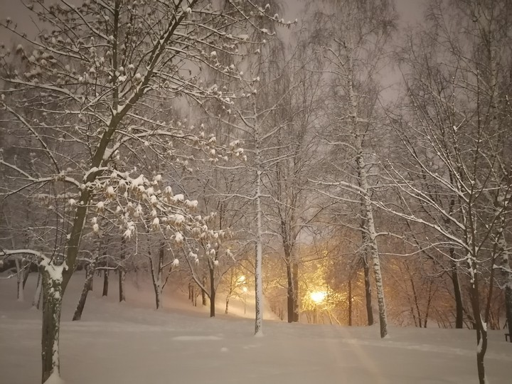 зима