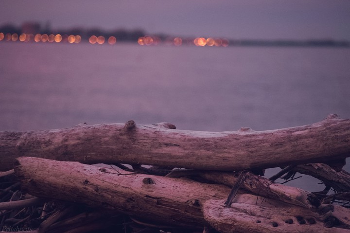 wood
