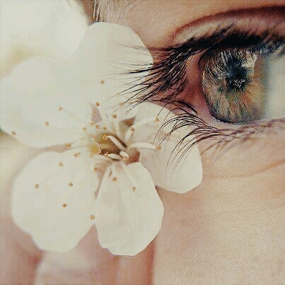 eyes