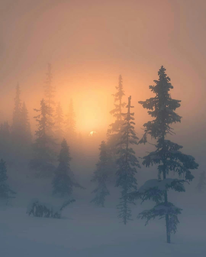 winter
