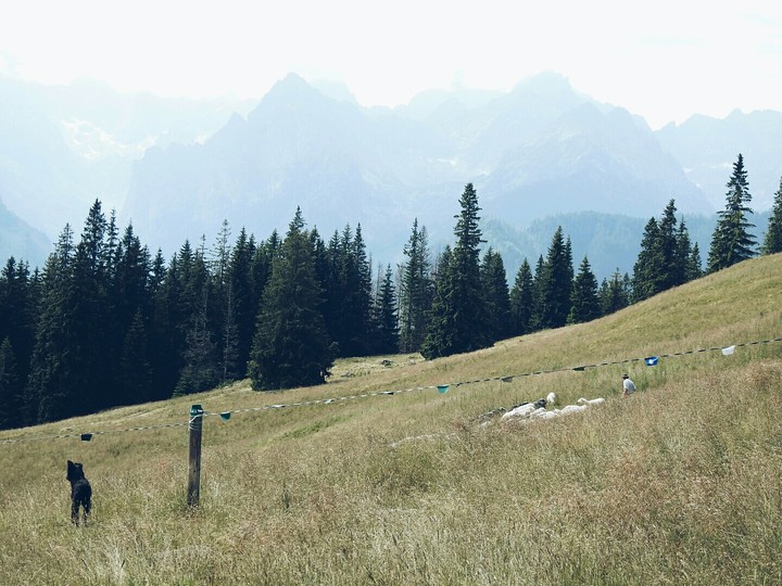 Tatry