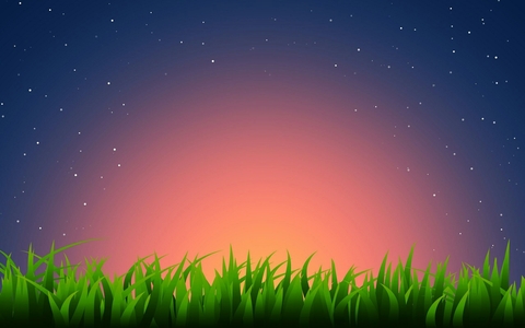 Night