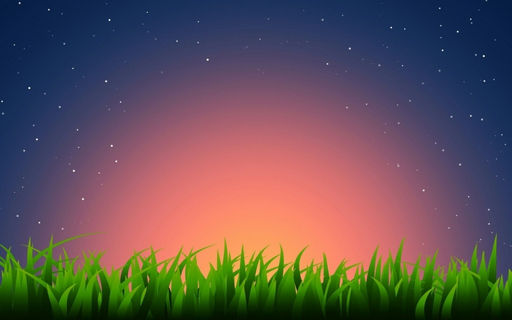 Night