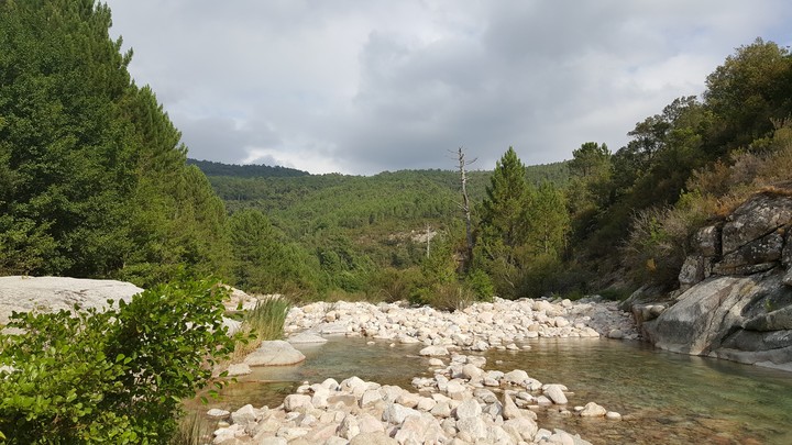 Cavu Corse