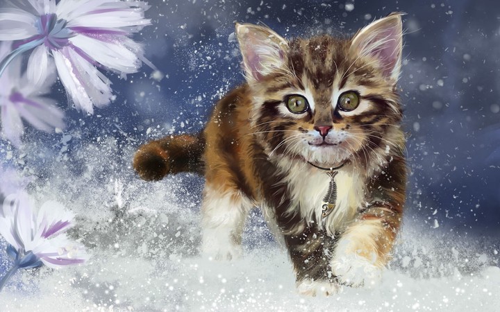 cat