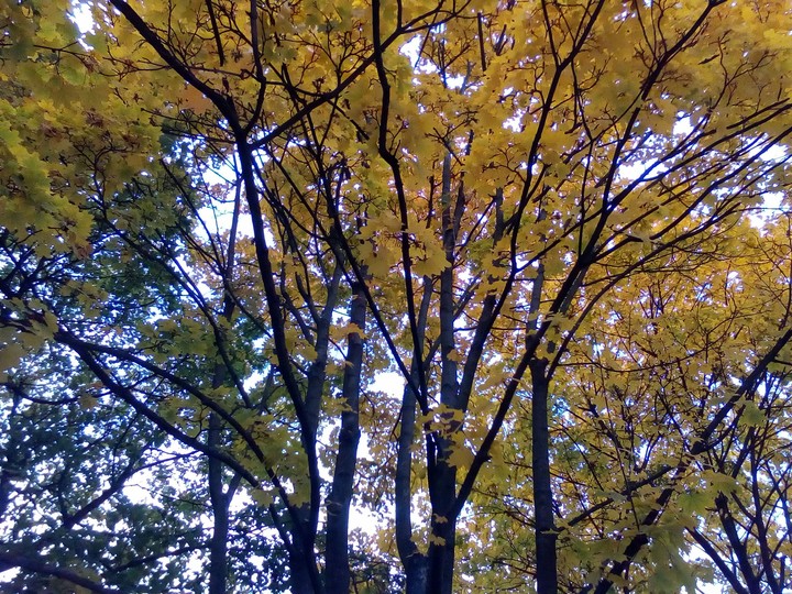 It's Autumn 