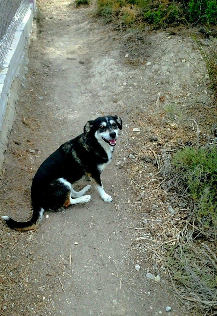 STAMATIOS