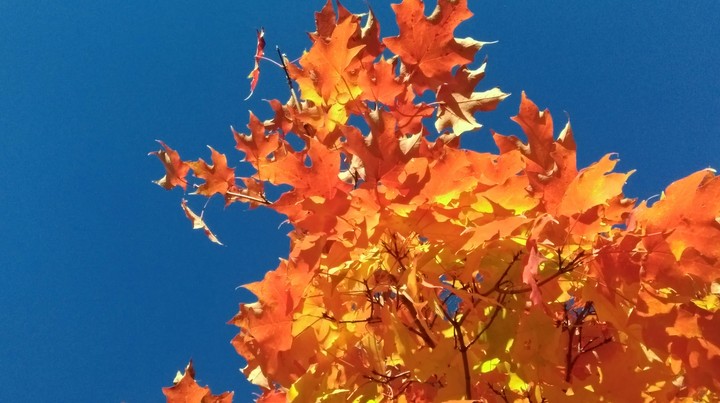 sky