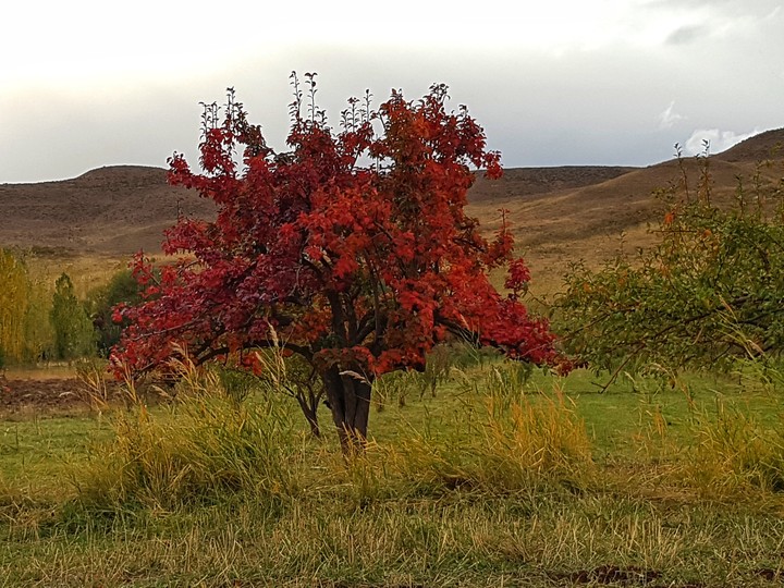 beautiful autumn