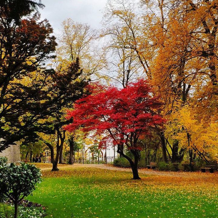 Oktober ♥️