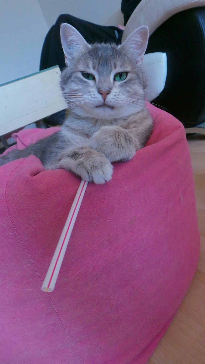 Louna