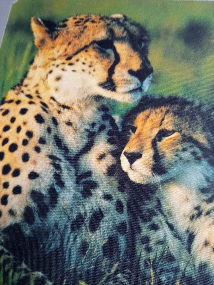 pops