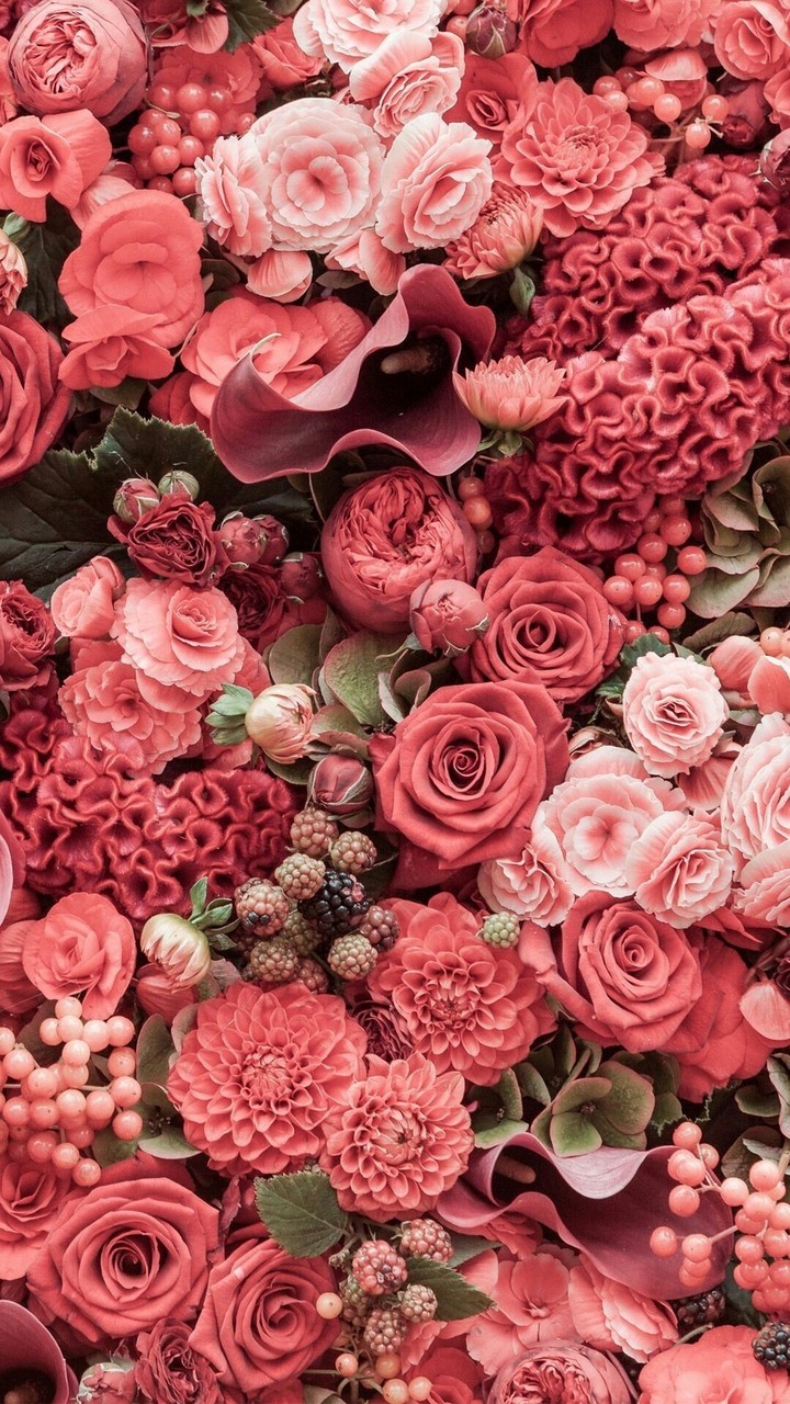 roses