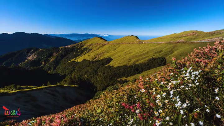 Taiwan-mountain