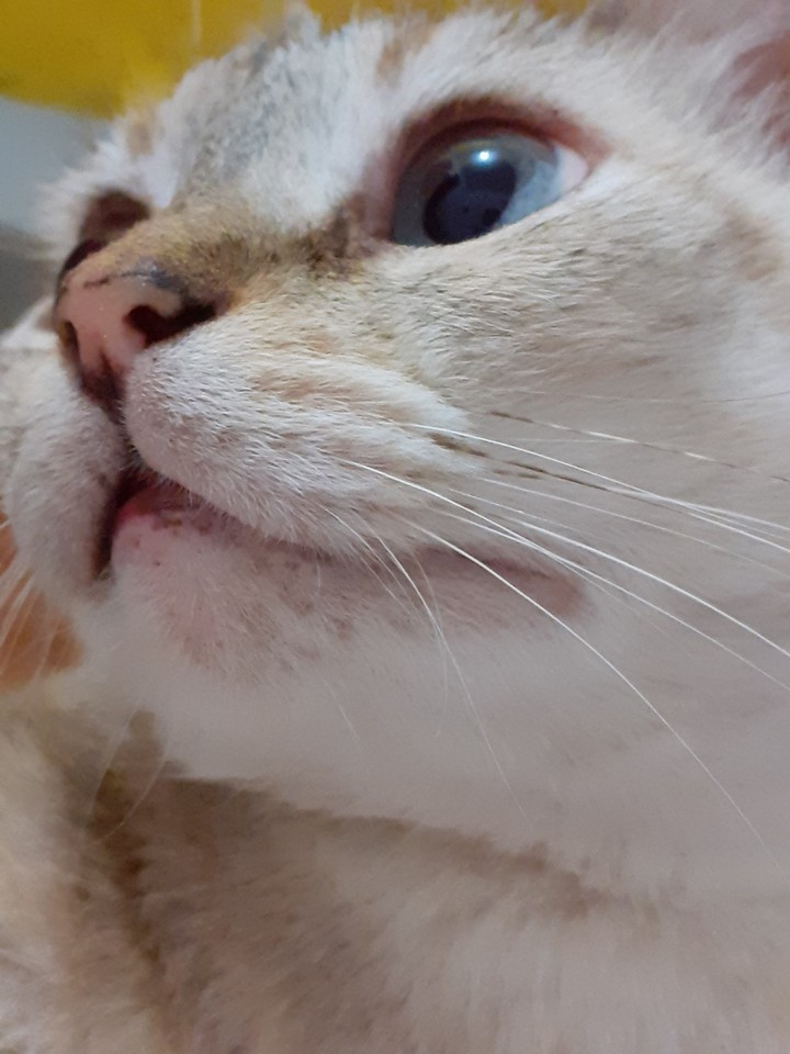 my beautiful angel