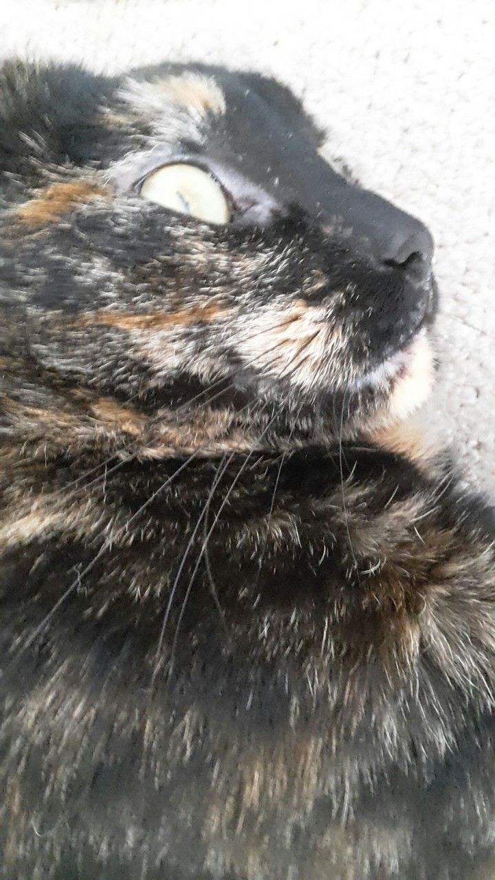 she is wild ..