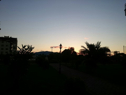 sunset