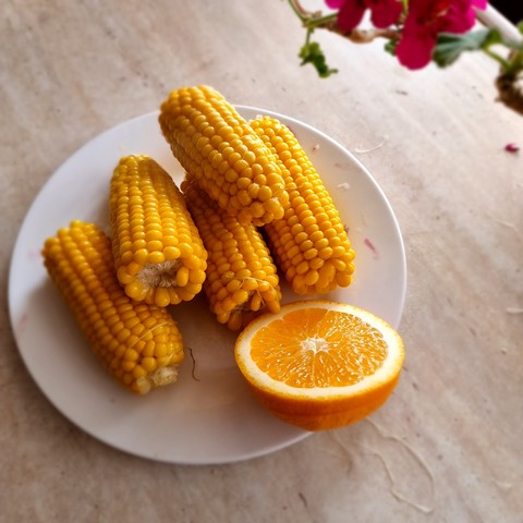 cuisine, lemon Hintergrundbilder