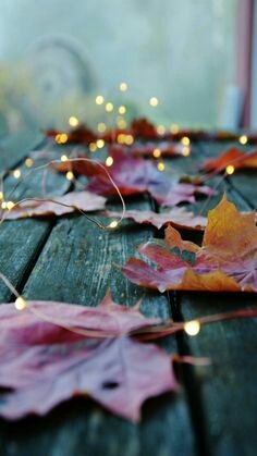 autumn
