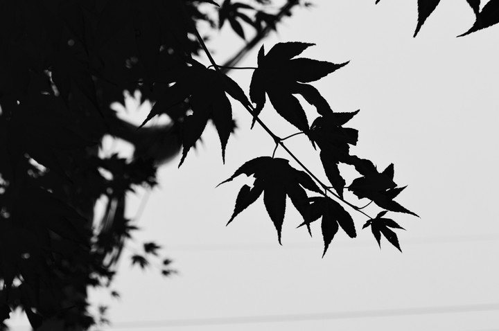 끝자락