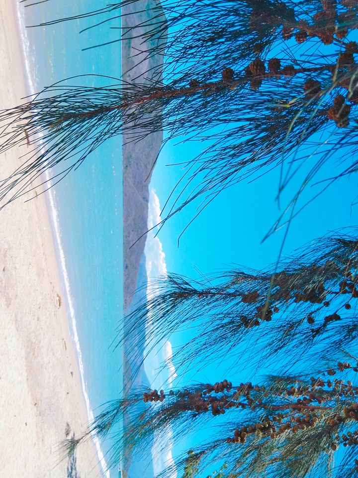 Blue Sea