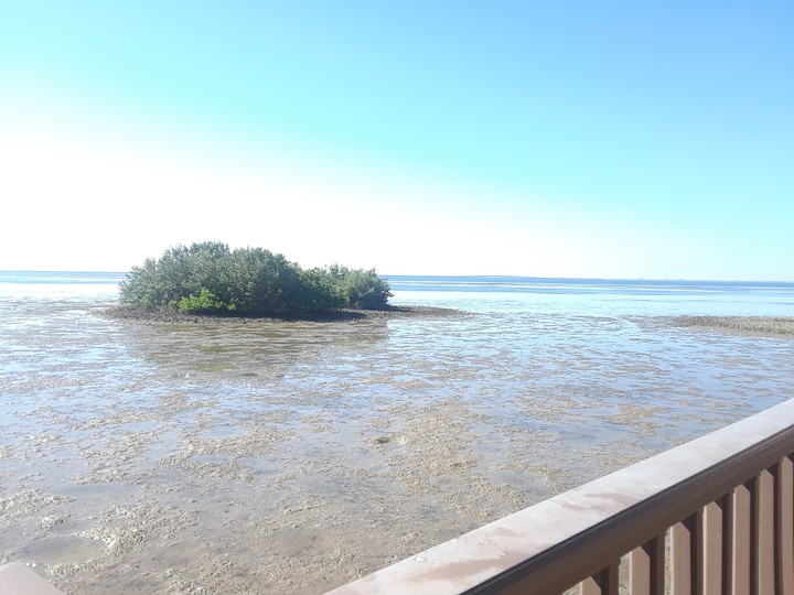 Low Tide