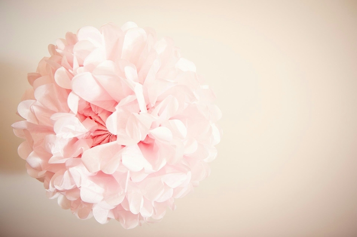 blossom