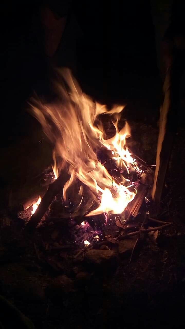 ogeń