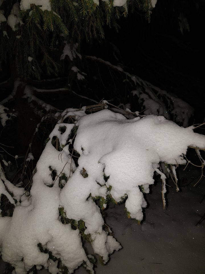 snow