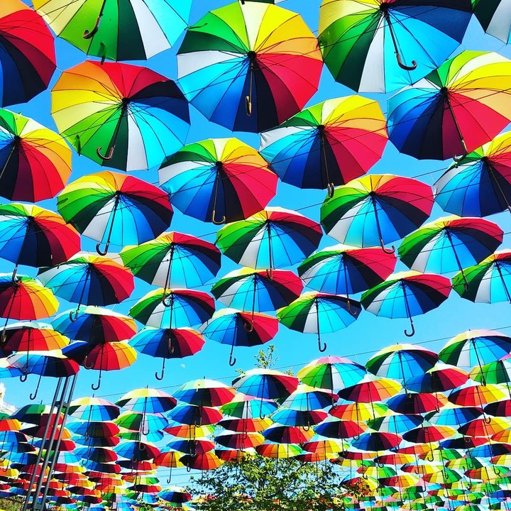 Happiness umbrellas