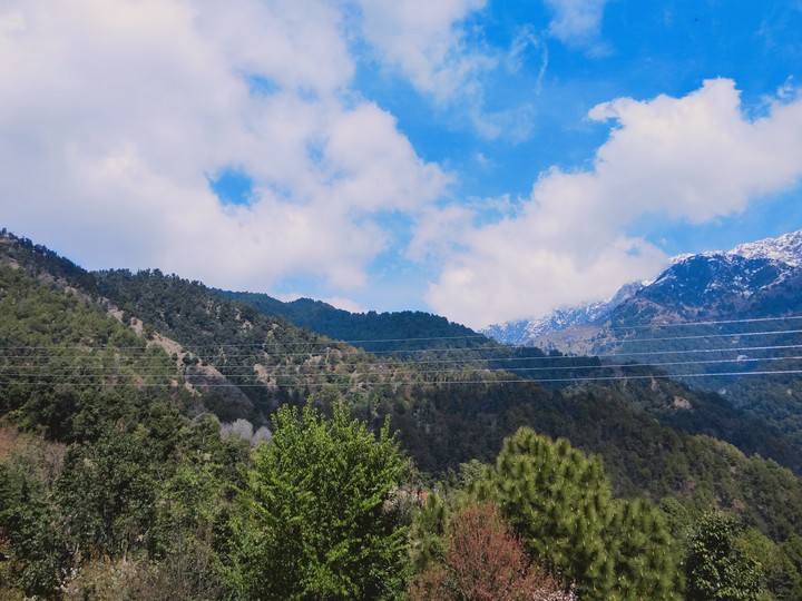 Nature Beauty