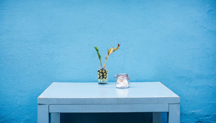 BEAUTIFUL FLOWERS STAND WITH BLUE WALL