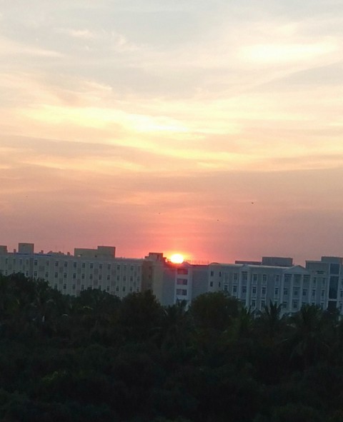 #Evening time Sun