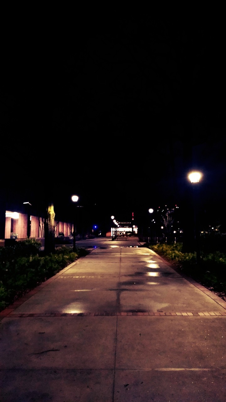 Lights in the Night