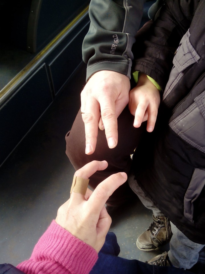 Семья Улиток