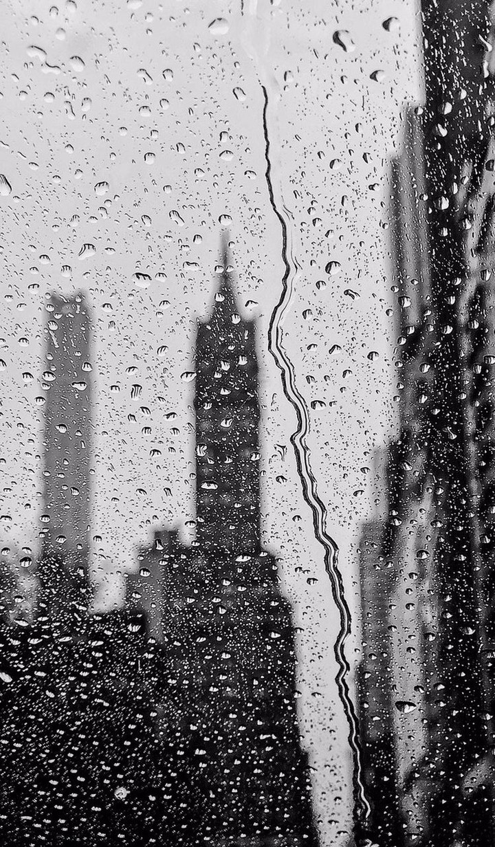 Rain city